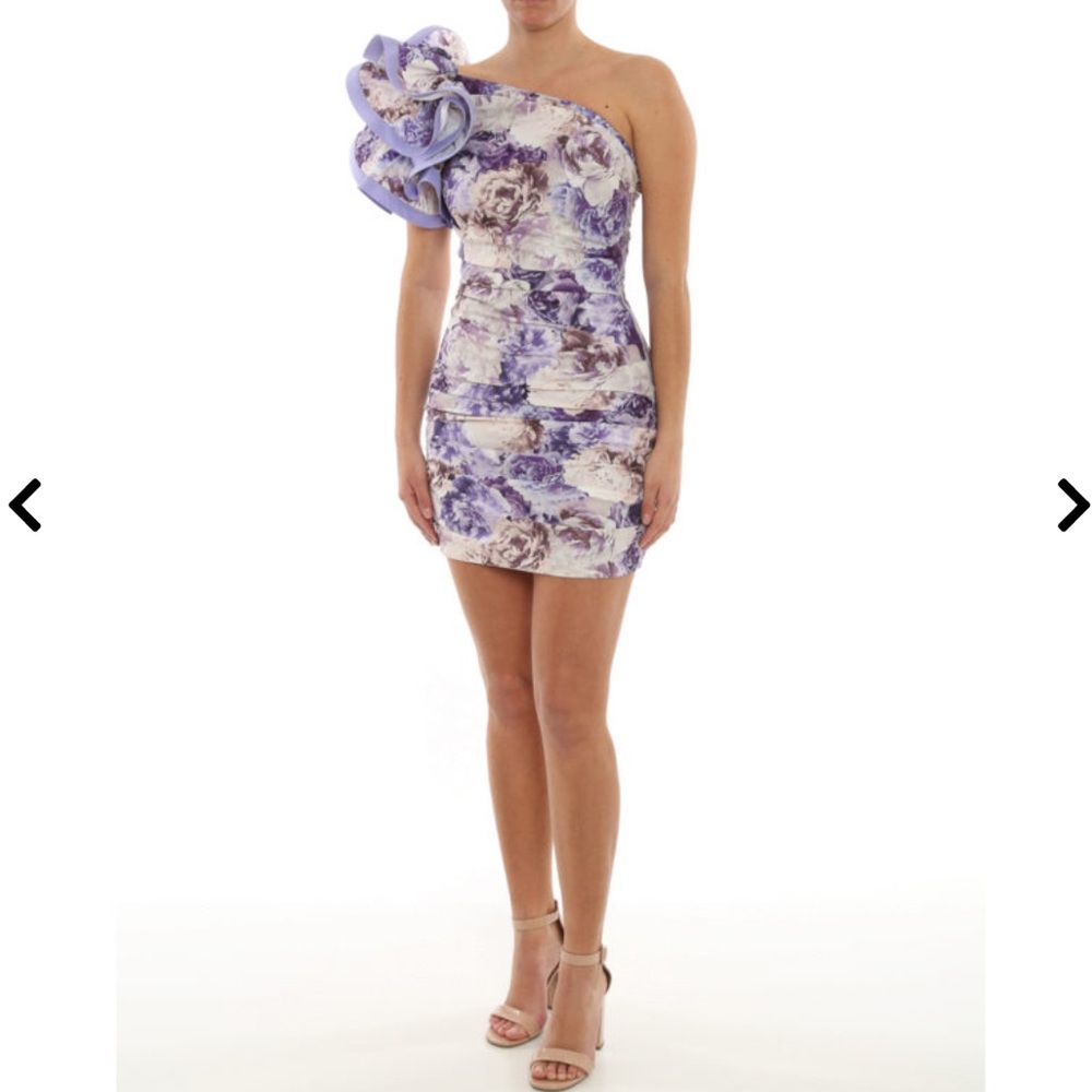 ELISABETTA FRANCHI
Flounces Peony Draped Dress 💜✨